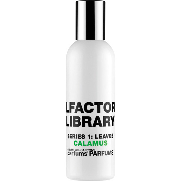 Series 1: Leaves - Calamus